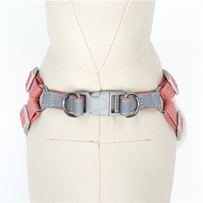 Комплект Sport+, XS, поводок 120×1.5 см, ОШ 37-39 см, ОГ 41-46 см, вес животного 4-6 кг, розовый