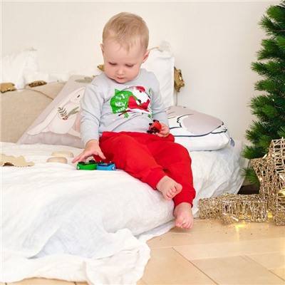 Костюм детский (джемпер, брюки) «Крошка Я. Мой первый НГ», рост 62-68 см, красный, серый