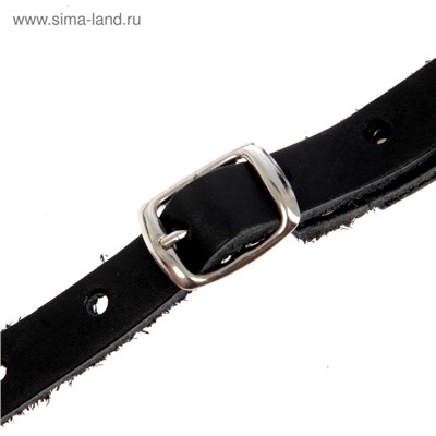 Намордник кожаный №2, сетчатый, с перемычкой, доберман, длина по носу 9.5 см, обхват морды 28 см