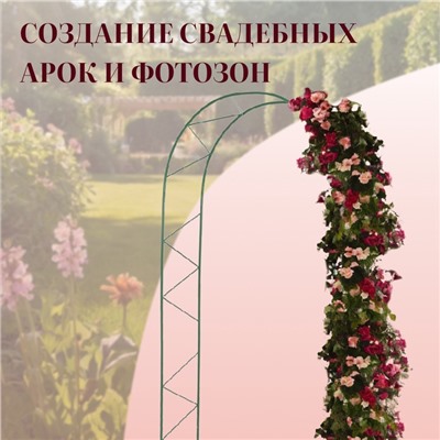 Арка садовая, 240×125×36.5 см, для вьющихся растений, металлическая, зелёная, «Ёлочка», Greengo