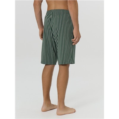 ШОРТЫ МУЖСКИЕ 531027