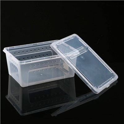 Переноска - отсадник для рептилий, 26×17.5×11.5 см, прозрачная