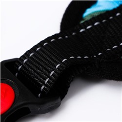 Шлейка К7, размер XL, ОГ 74-92 см, вес 28-47.5 кг, мягкая, светоотражающая, голубая