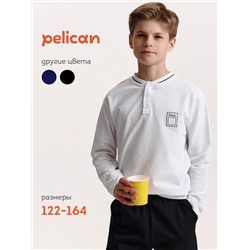 PELICAN Джемпер BFJH7019/1U