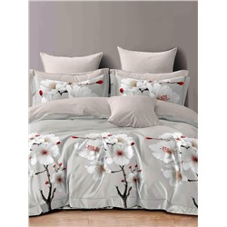 Текс-плюс КПБ Общий 00000000788