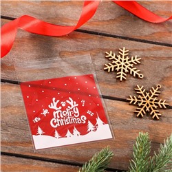 Пакет подарочный новогодний БОПП с липкой лентой, «С Рождеством», 10×10+3 см