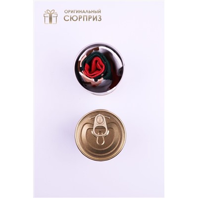 Носки стандарт в банке №GL1703 Змей НАТАЛИ, 1052227