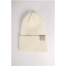 Шапка CLEVER, 1199528