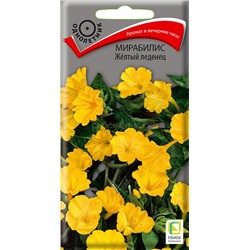 Мирабилис Желтый леденец (П)