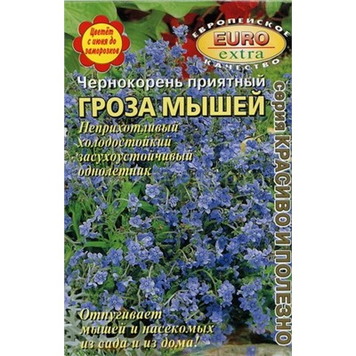 Чернокорень Гроза мышей (Аэлита)