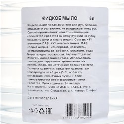 Мыло жидкое TITAN строительное, 5 л