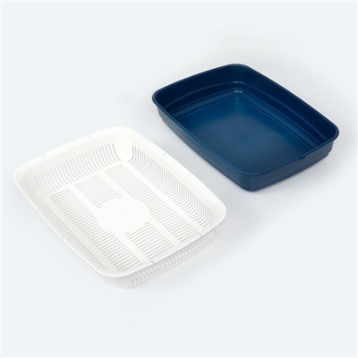 Лоток большой с сеткой Atlantis «Стандарт», 42×31×10 см, синий