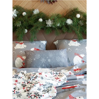 Постельное бельё 2-спальное «Этель. Зимние игры», поплин