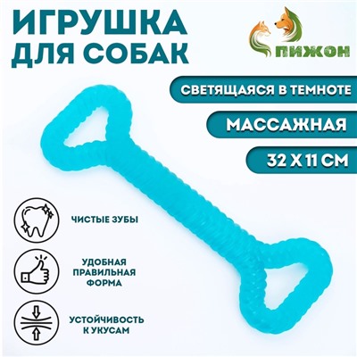 Жевательная игрушка для собак «Большая кость», светящаяся, массажная, 32×11, синяя