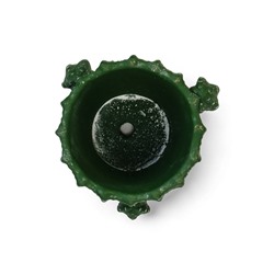 Декоративное кашпо для цветов «Кактус», 400 мл, керамическое, зелёное, Greengo