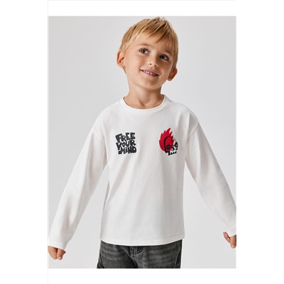 Джемпер ACOOLA, 1201523