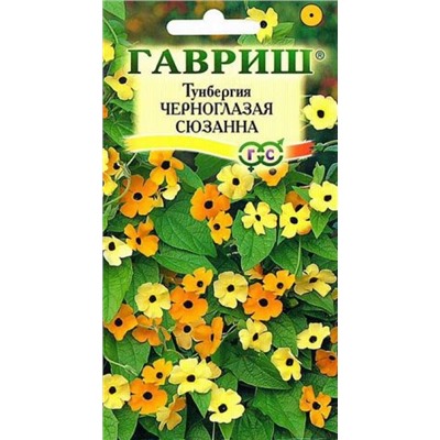 Тунбергия Черноглазая Сюзанна (Код: 9921)