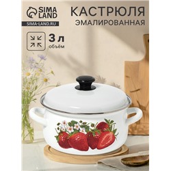 Кастрюля эмалированная, 3 л, d=23 см, с крышкой, белая