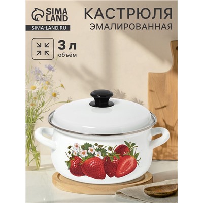Кастрюля эмалированная, 3 л, d=23 см, с крышкой, белая
