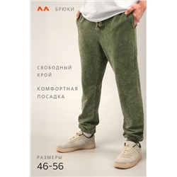 Мужские брюки из футера двухнитки Happyfox