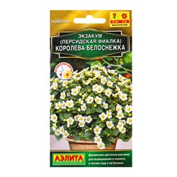 Семена цветов Экзакум (Персидская фиалка) Королева белоснежка  (драже) , Ц/П,4 шт.