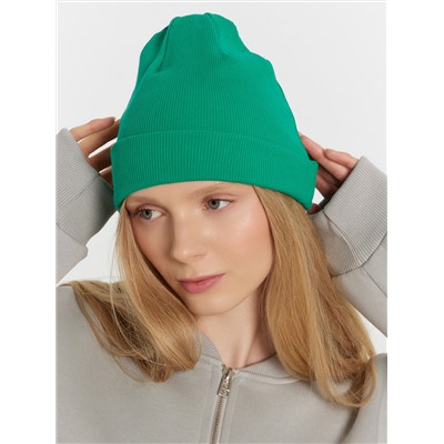 ШАПКА МОЛОДЕЖНАЯ 221001