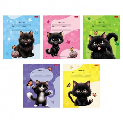 Тетрадь  18л линия "Черный котик" (091440) Хатбер