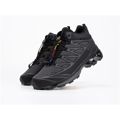Зимние Кроссовки Salomon ADVANCED XT-6 ADV Mid