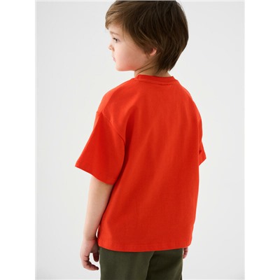 Фуфайка трикотажная для мальчиков (футболка)