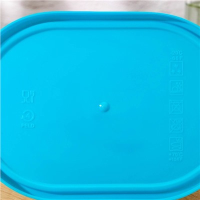 Контейнер Peanut, 1050 мл, с крышкой, стекло, голубой