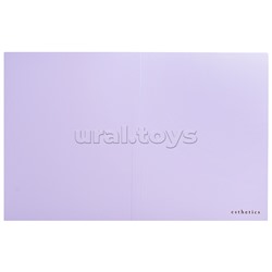 Папка с 020 вкладышами A4 "Esthetics" A4 (235x310x15 мм) полипропилен 700 мкм, фактура "soft-touch" вкладыши 30 мкм, внутренний карман 160 мкм, индивидуальная упаковка, непрозрачная лавандово-пепельная