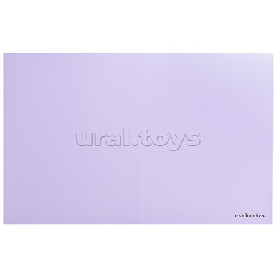 Папка с 040 вкладышами A4 "Esthetics" A4 (235x310x25 мм) полипропилен 700 мкм, фактура "soft-touch" вкладыши 30 мкм, внутренний карман 160 мкм, индивидуальная упаковка, непрозрачная лавандово-пепельная