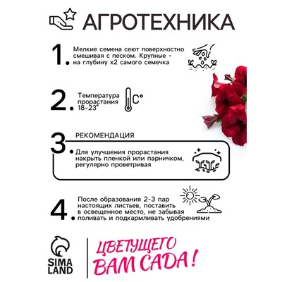 Семена Петуния Мамбо F1 пурпурная многоцветковая, 7 шт