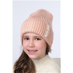 Шапка CLEVER, 799308