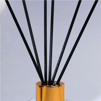 Диффузор ароматический палочки «Новогодняя коллекция: Тепла и уюта», аромат яблоко, 50 мл.