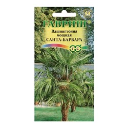 Семена комнатных цветов Вашингтония «Санта-Барбара», 3 шт.