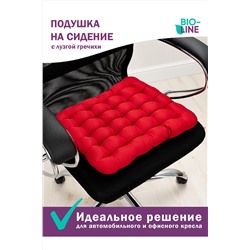 Подушка для мебели Bio-Line с гречневой лузгой PSG25 НАТАЛИ, 879652