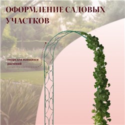 Арка садовая, 250×120×30 см, для вьющихся растений, металлическая, зелёная, «Узор-2»