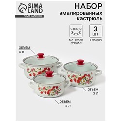 Набор кастрюль эмалированных «Астры-1-Экстра», 3 предмета: 2 л, 3 л, 4 л, белый