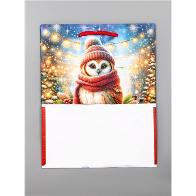 Пакет подарочный новогодний ламинированный, «Сова», 18×10×22.3 см