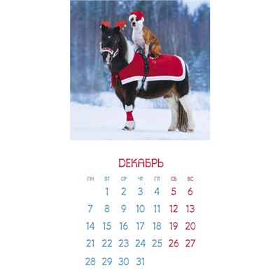 Календарь перекидной настенный 2026 г. 30х30 см Стандарт "Ржачный_Год Лошади"(091912) 34666 Хатбер