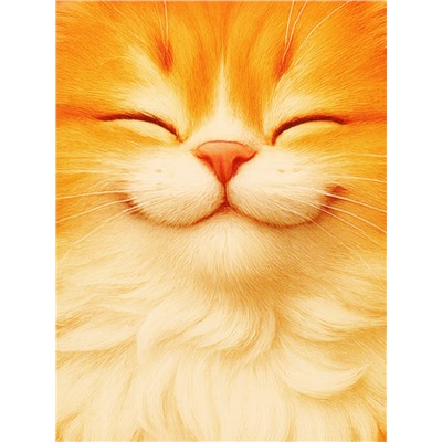 Ланч - бокс прямоугольный «Мой размерчик», 1200 мл