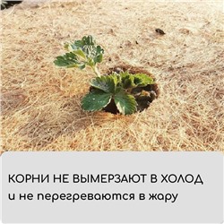 Кокосовое полотно для мульчирования, 3×1 м, «Мульчаграм»