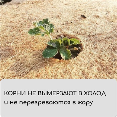 Кокосовое полотно для мульчирования, 3×1 м, «Мульчаграм»
