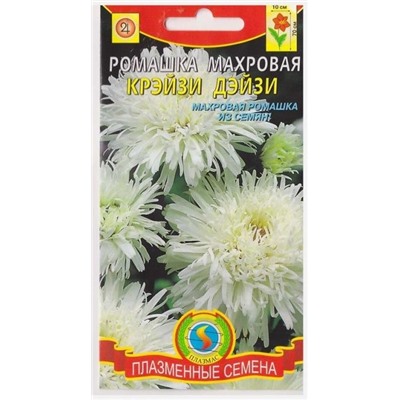 Ромашка Крейзи Дейзи (Код: 76083)