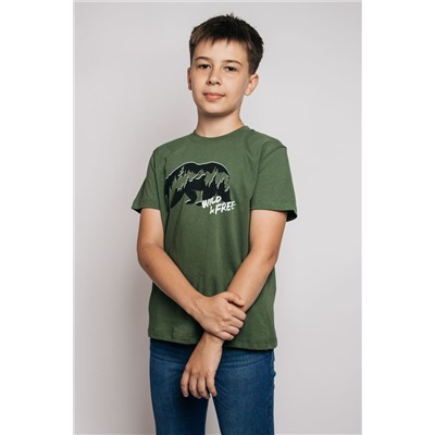 Футболка для мальчика 52320