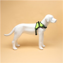 Шлейка улучшенная К7 мягкая светоотражающая, размер XL, ОГ 74-92 см, вес 28-47.5 кг, зелёная