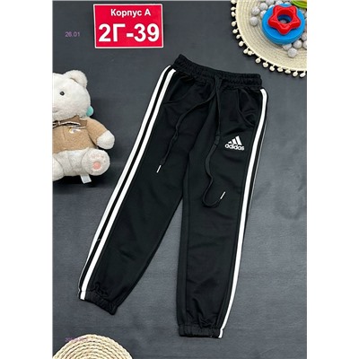 штаны 2056433-1