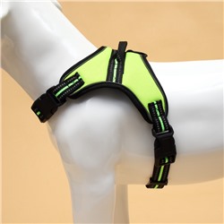 Шлейка улучшенная К7 мягкая светоотражающая, размер XL, ОГ 74-92 см, вес 28-47.5 кг, зелёная