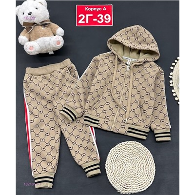 костюм с начесом 1821013-1